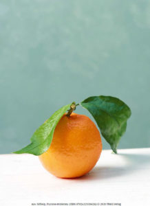 Ratgeber Fructoseintoleranz Seite neu 08
