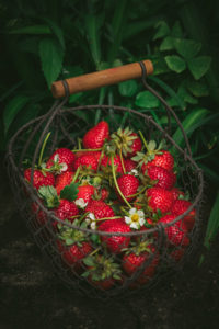 Erdbeeren fructosearm
