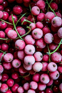 fructosearmes Obst Johannisbeeren