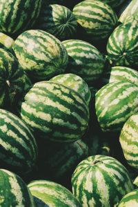 Wassermelone fructosearm