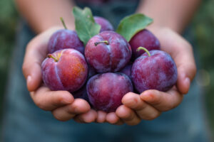 Pflaumen bei Fructoseintoleranz