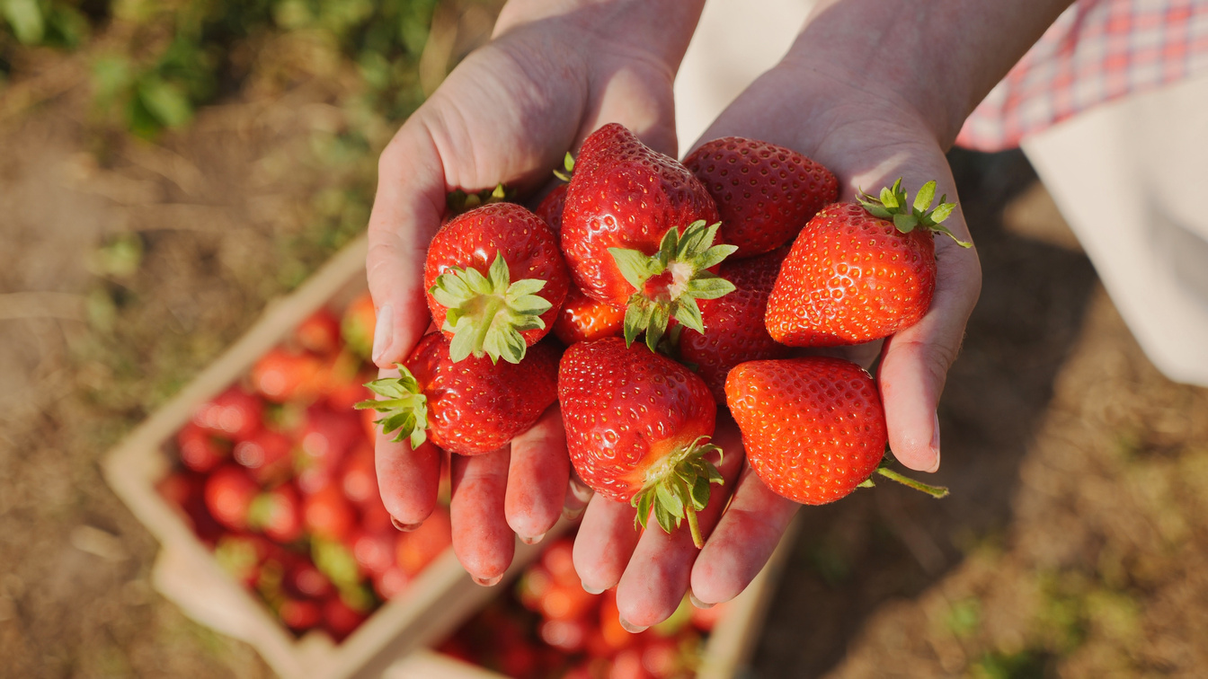 Gesundheitliche Vorteile von Erdbeeren bei Fructoseintoleranz