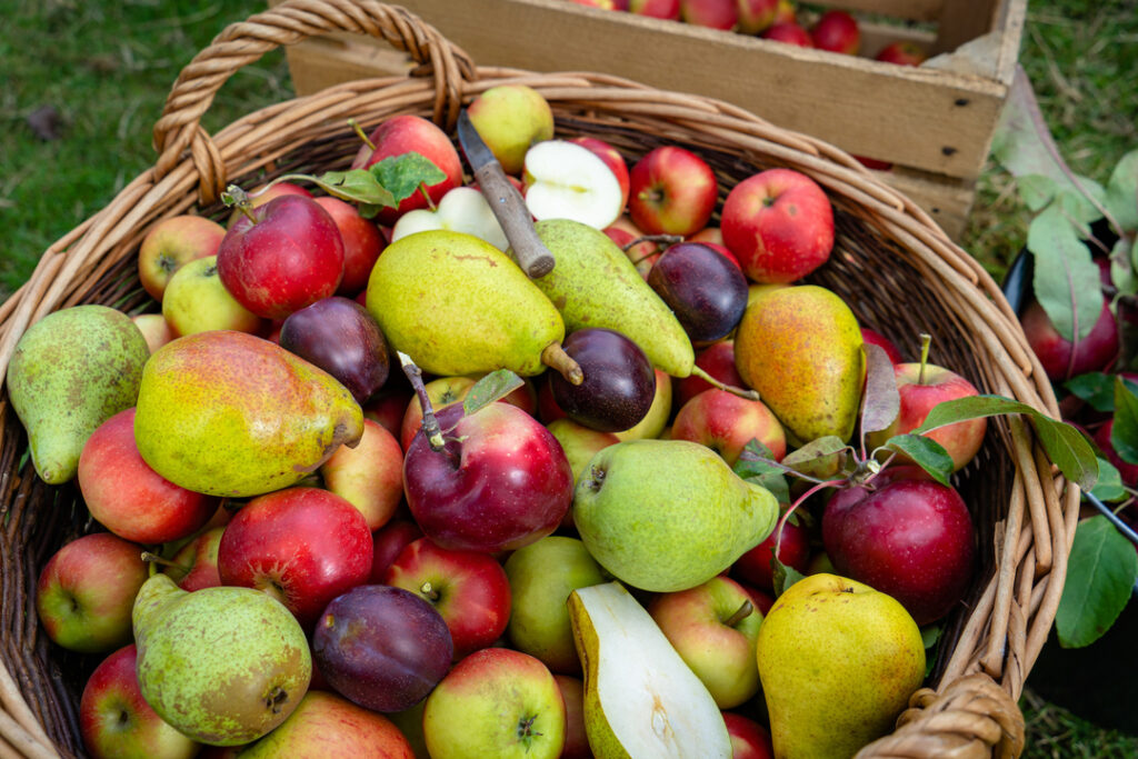 Fructosegehalt Herbstobst