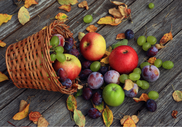 Fructosearmes Herbstobst