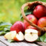 Apfel bei Fructoseintoleranz