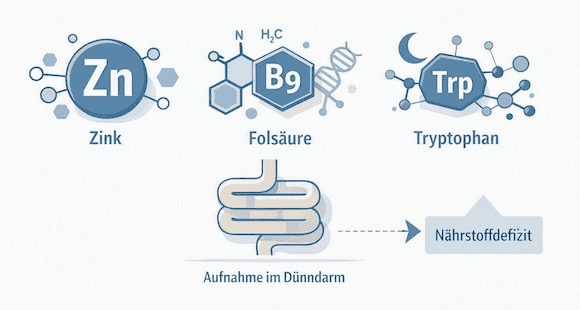 Tryptophan Zink Folsäure